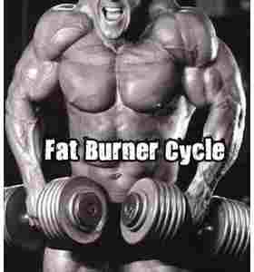 Fat Burner Cycle